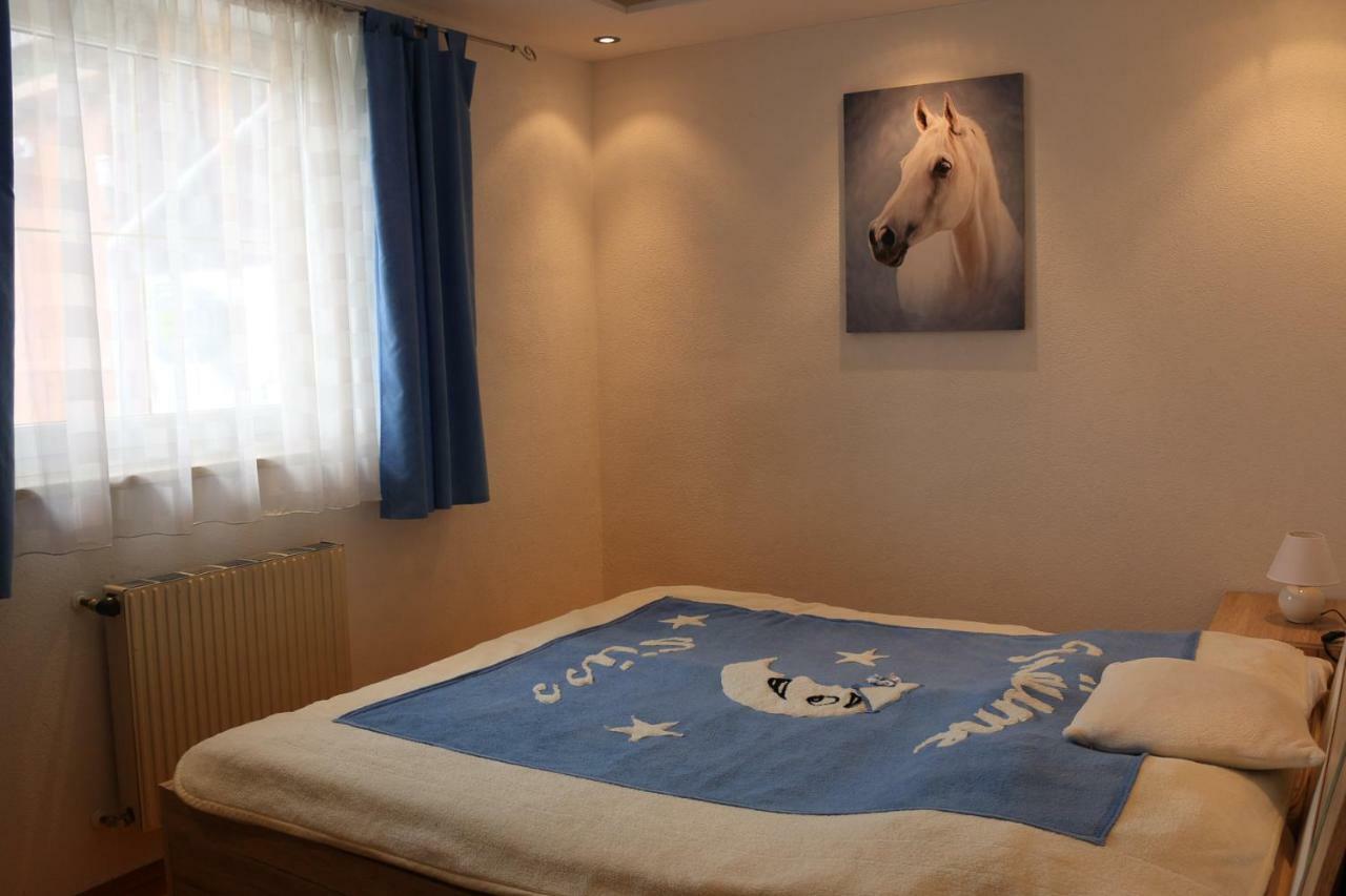Zur Alpenruhe Daire Seeboden Dış mekan fotoğraf